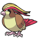 Pidgeot