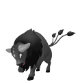 Tauros-Paldea