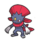 Weavile